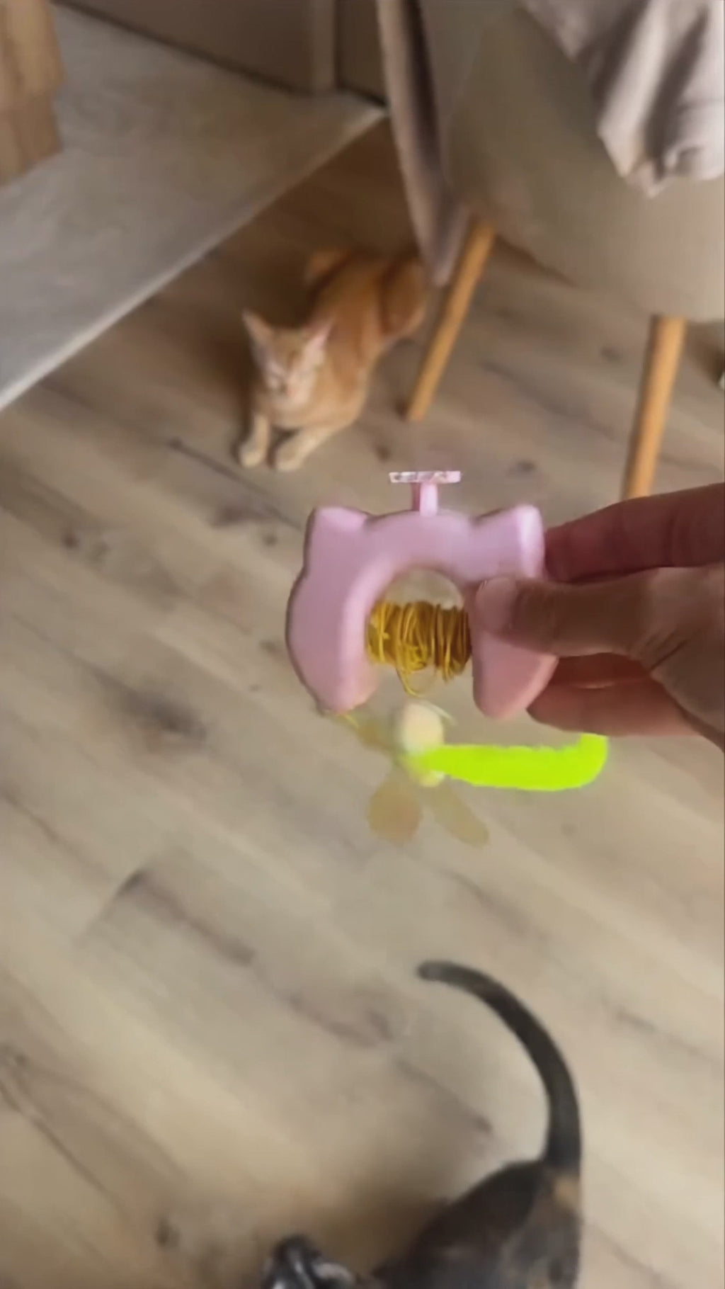 Automatic Yo-Yo Cat Toy™