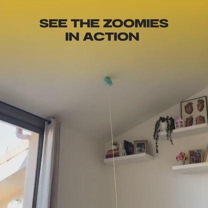 THE AUTOMATIC YO-YO TOY
